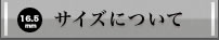 印鑑の大きさ